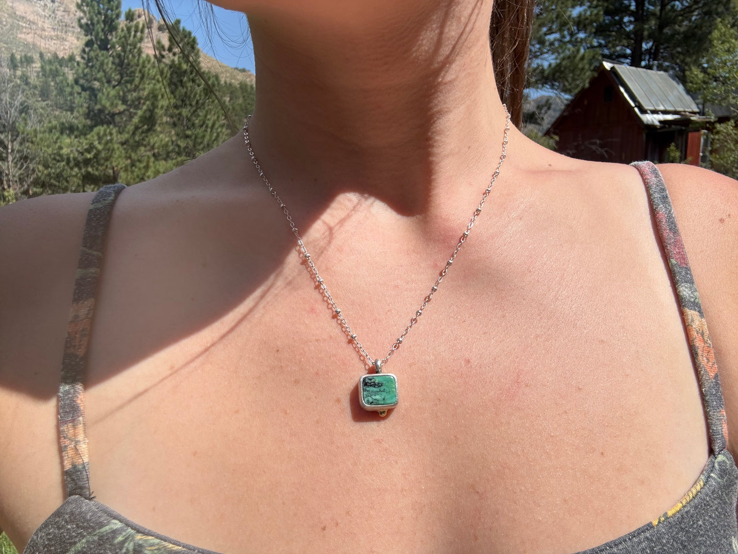 Snowville Variscite & 14k Dot Necklace