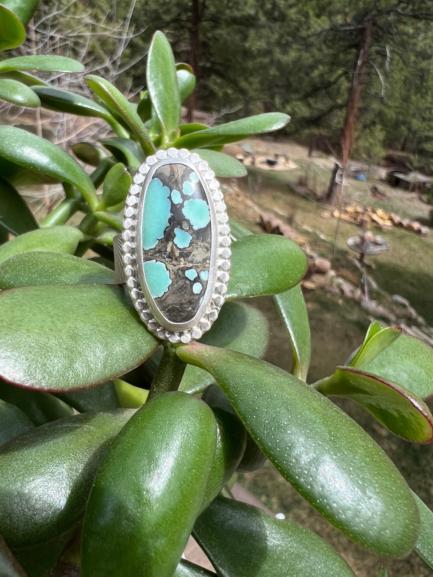 Desert Bloom Variscite Ring - Size 7