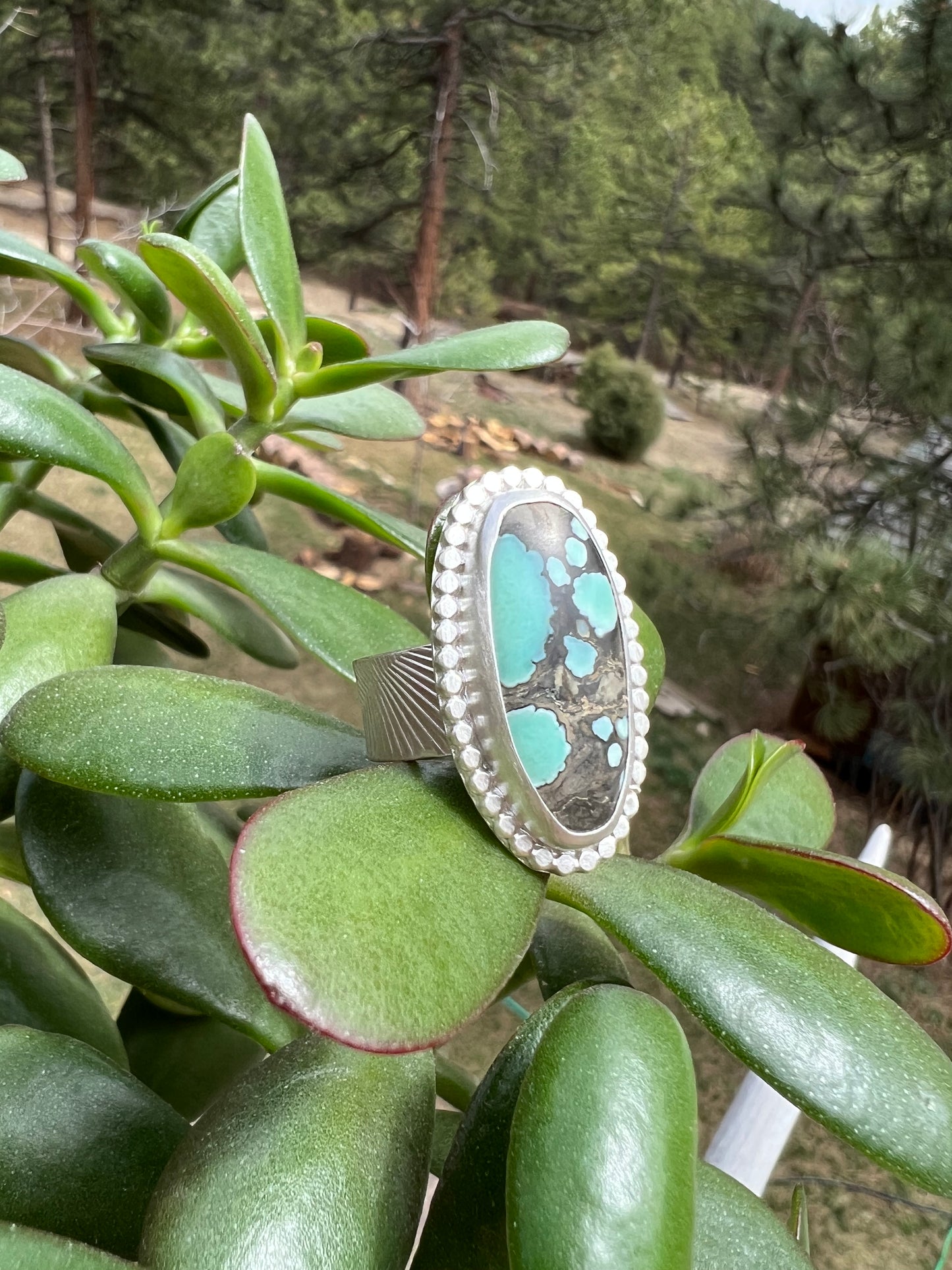 Desert Bloom Variscite Ring - Size 7