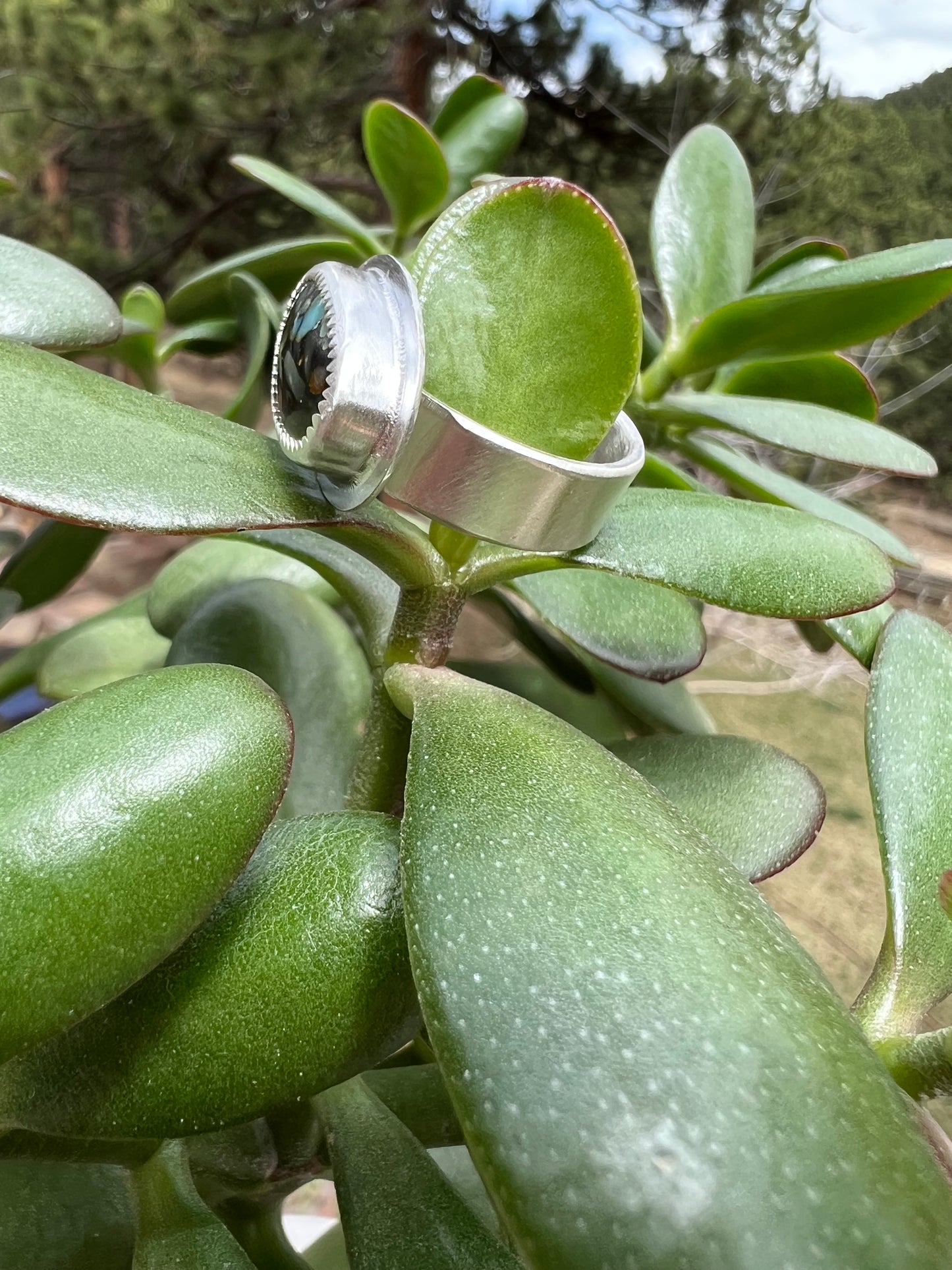 Desert Bloom Variscite Ring - Size 7.75