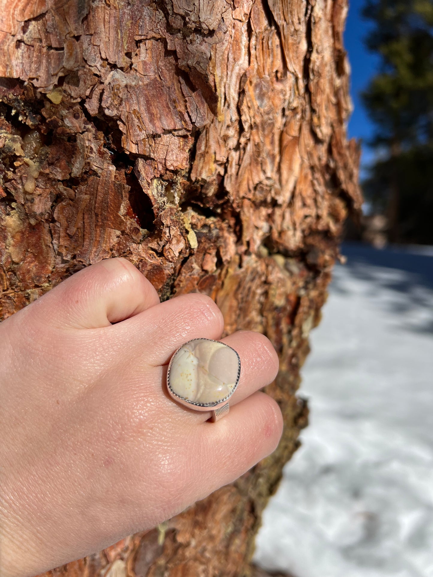 Willow Creek Jasper Ring - Size 8.25