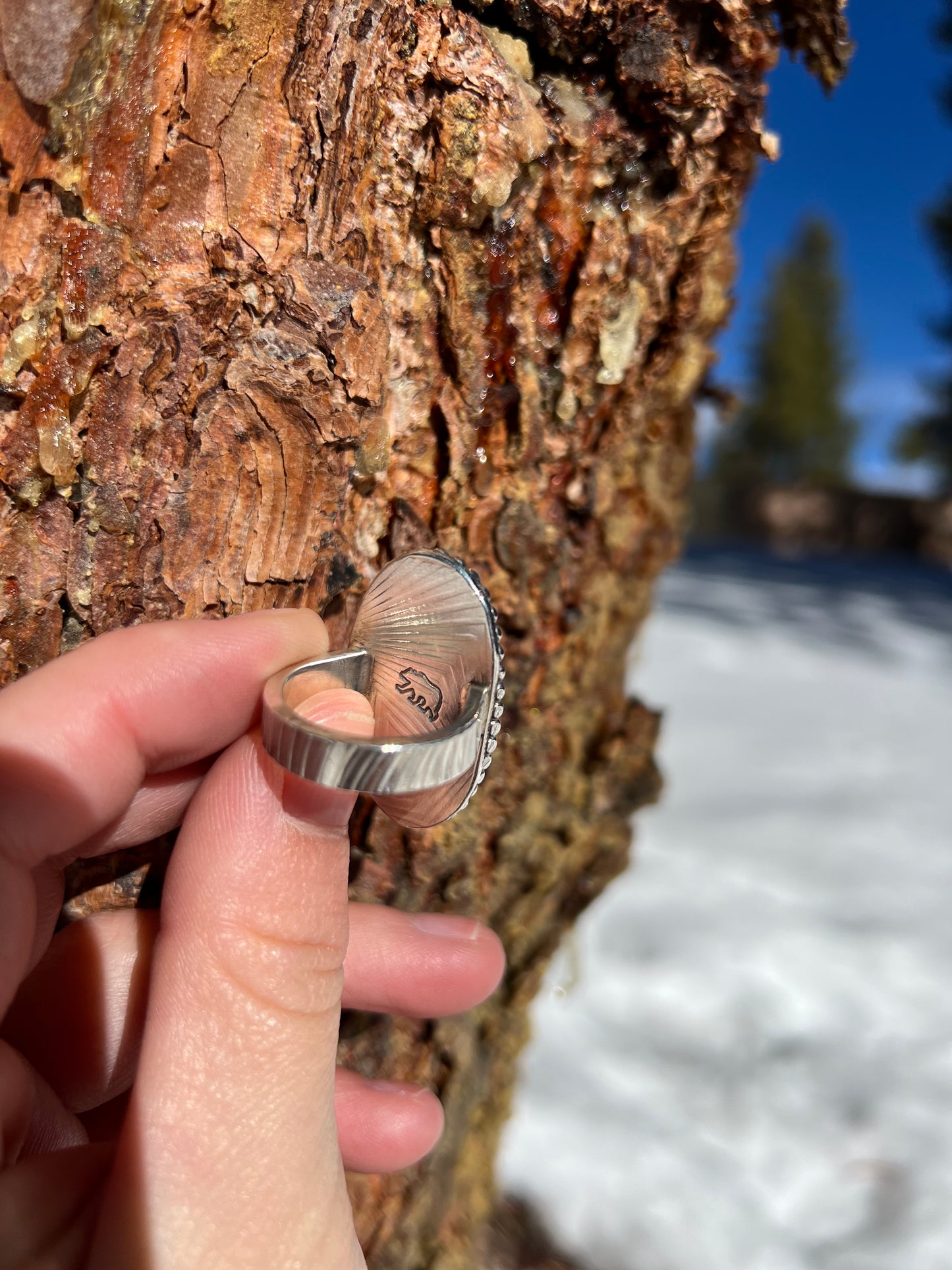 Willow Creek Jasper Ring - Size 7