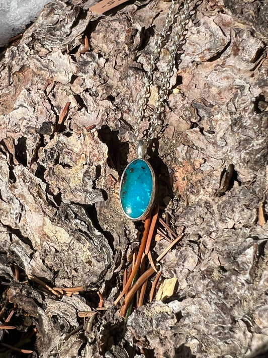 Nacozari Turquoise Necklace