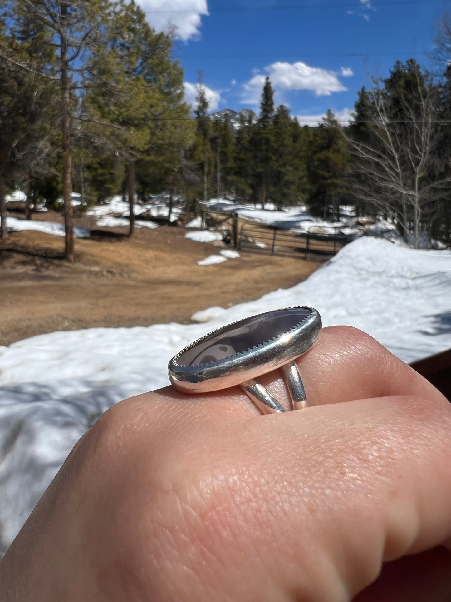 Willow Creek Jasper Ring - Size 8.5