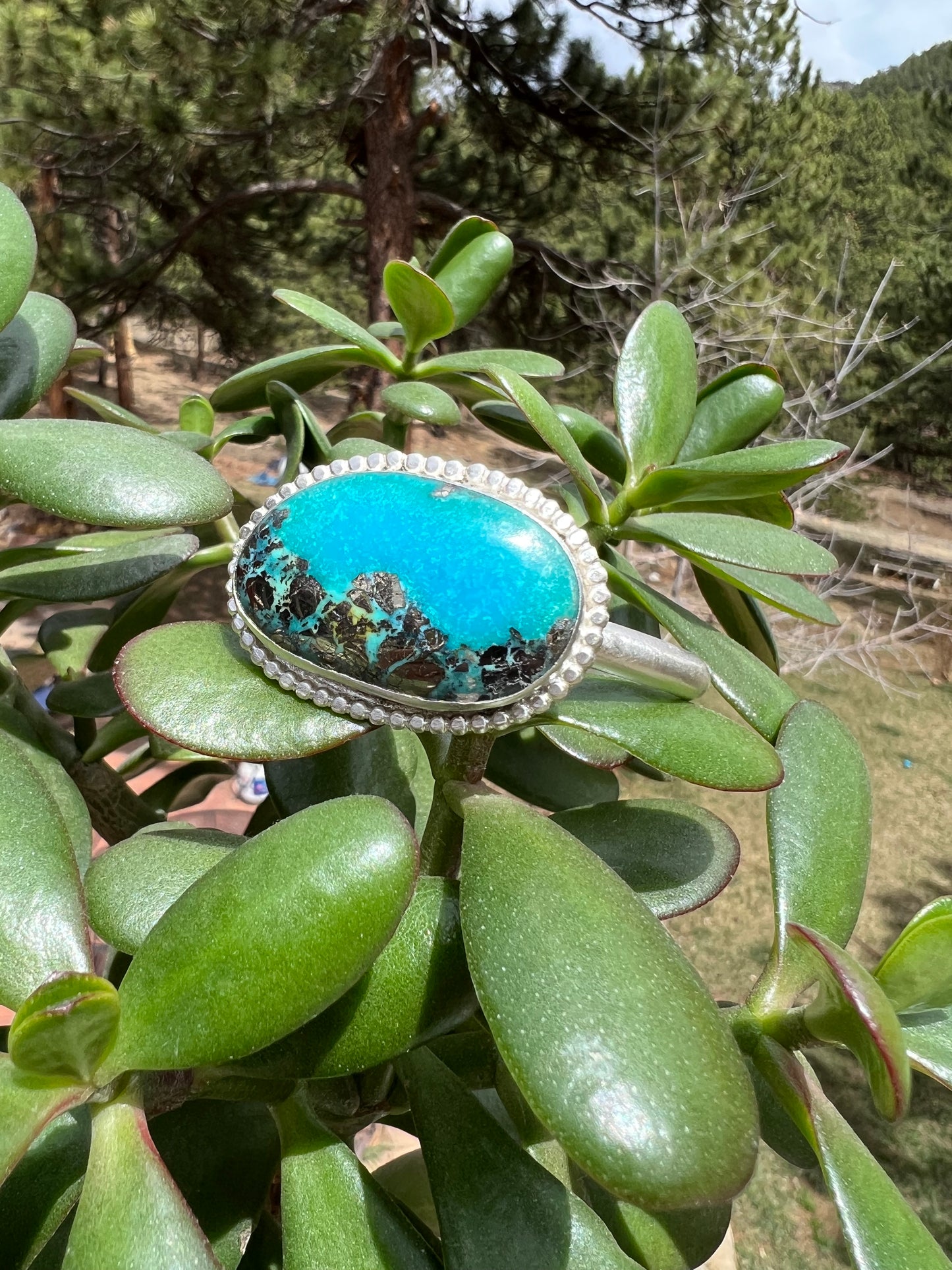 Nacozari Turquoise Cuff