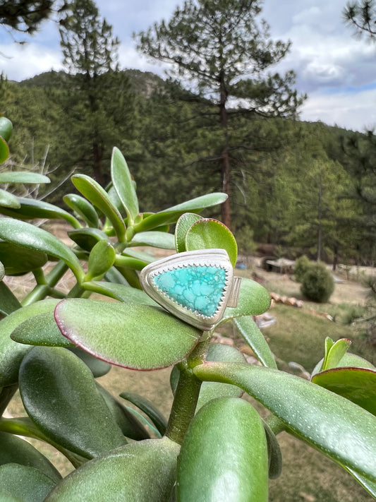 Whitewater Turquoise Ring - Size 6.5