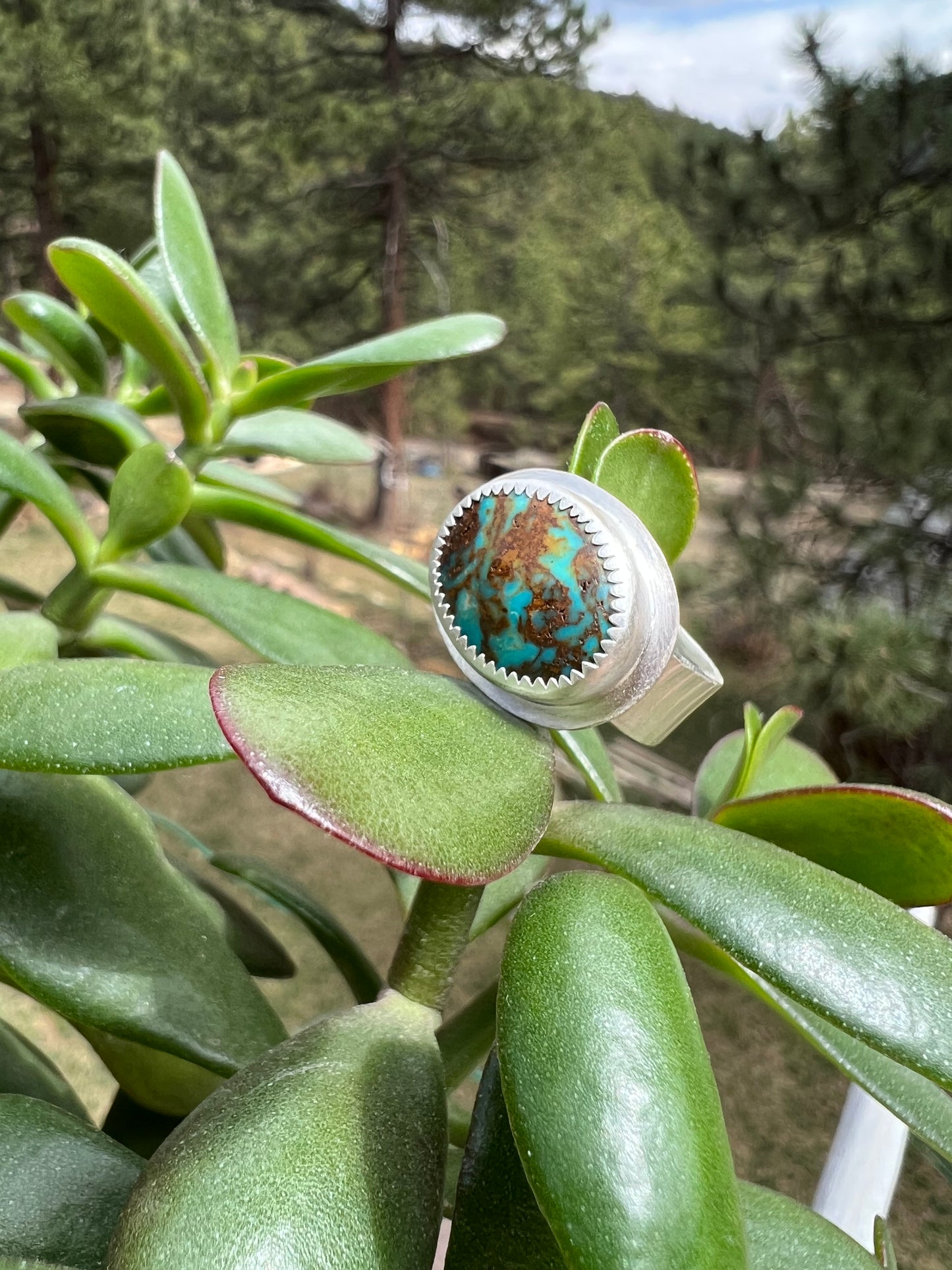 Rising Phoenix Turquoise Ring - Size 7.5