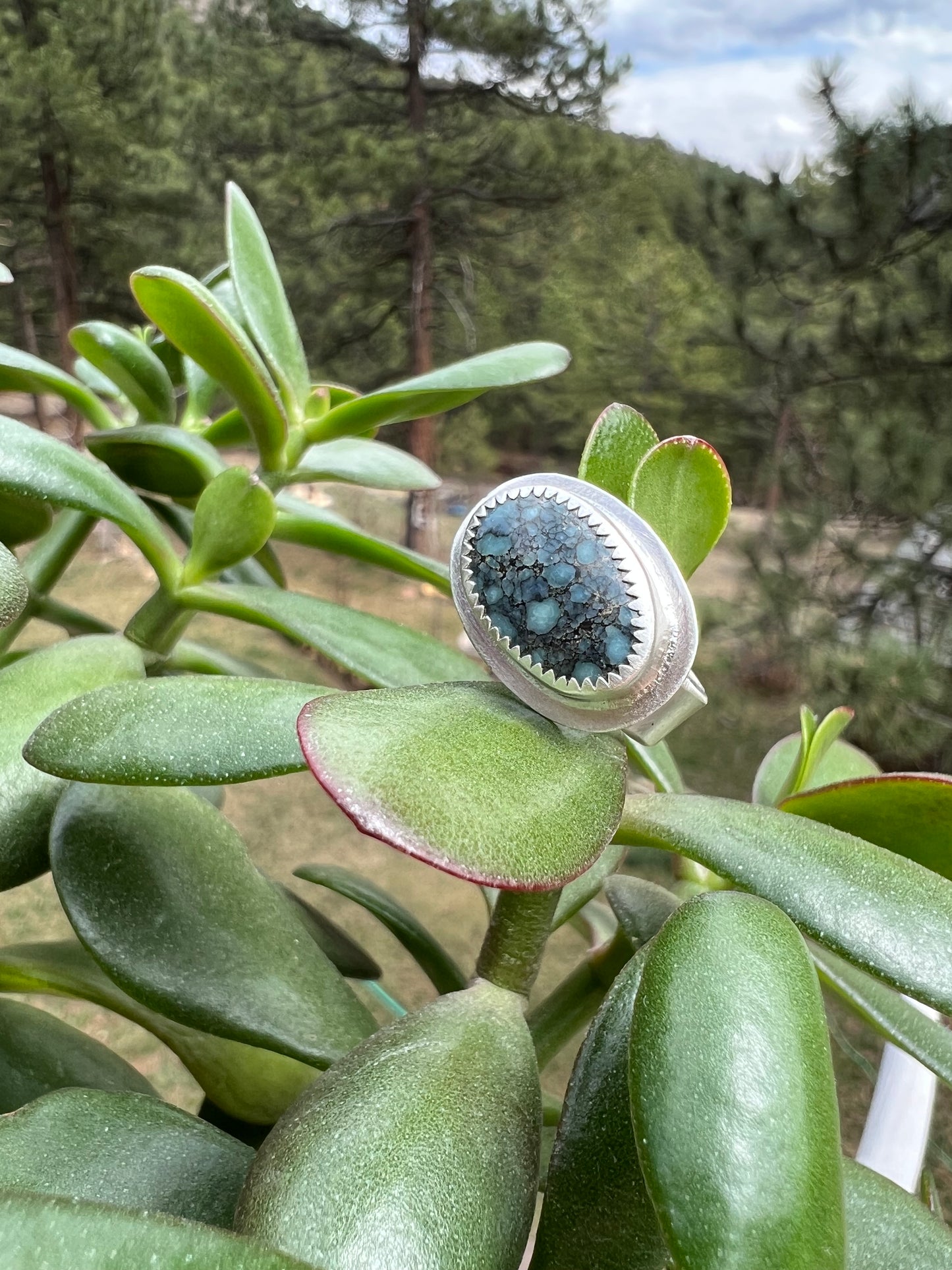 Desert Bloom Variscite Ring - Size 7