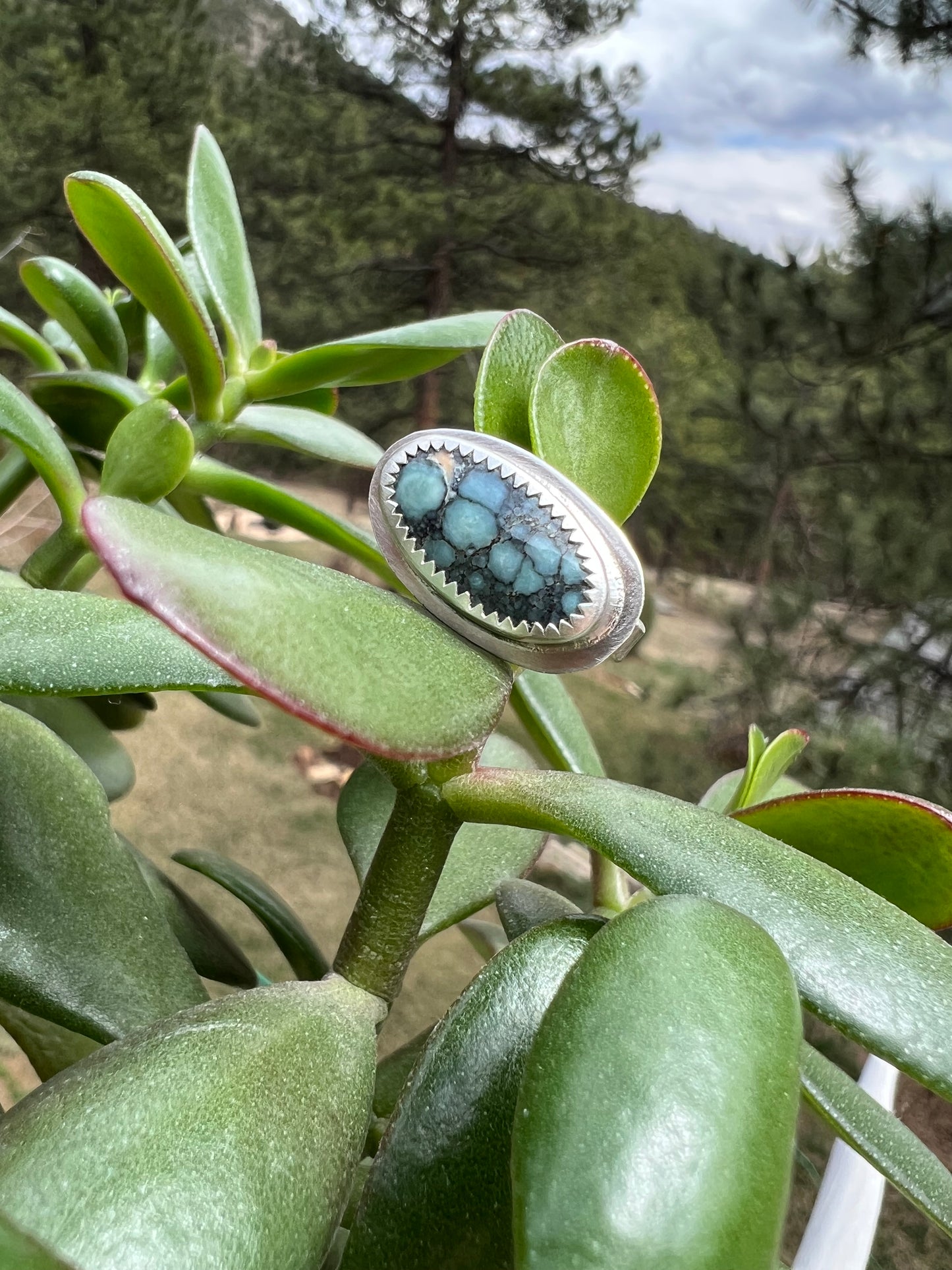 Desert Bloom Variscite Ring - Size 5.5