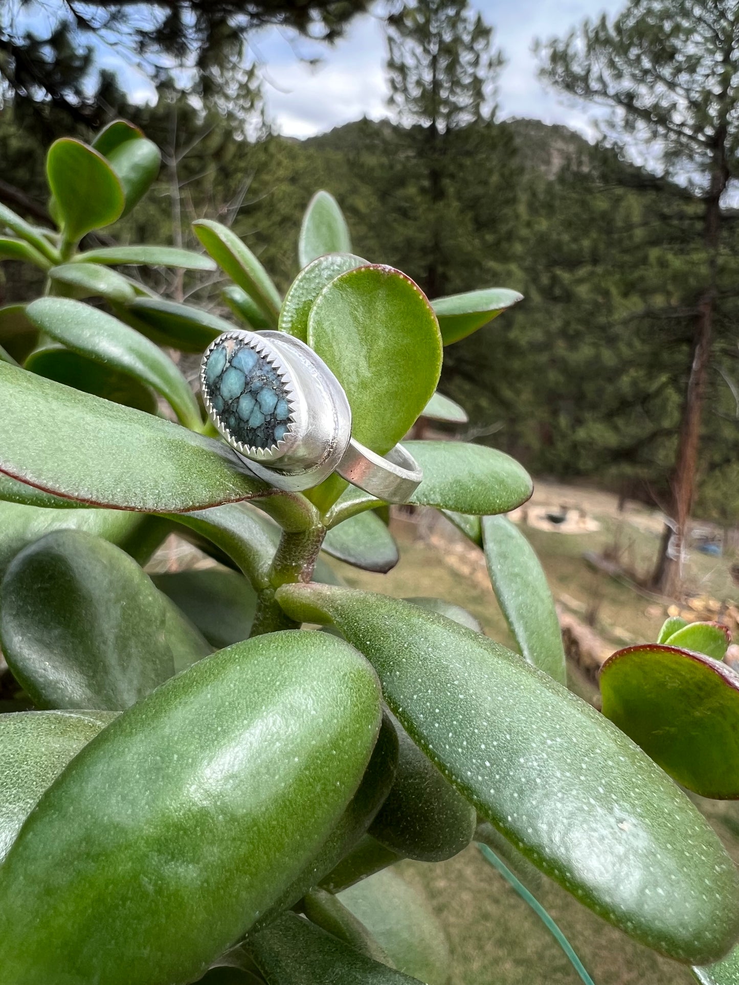 Desert Bloom Variscite Ring - Size 5.5