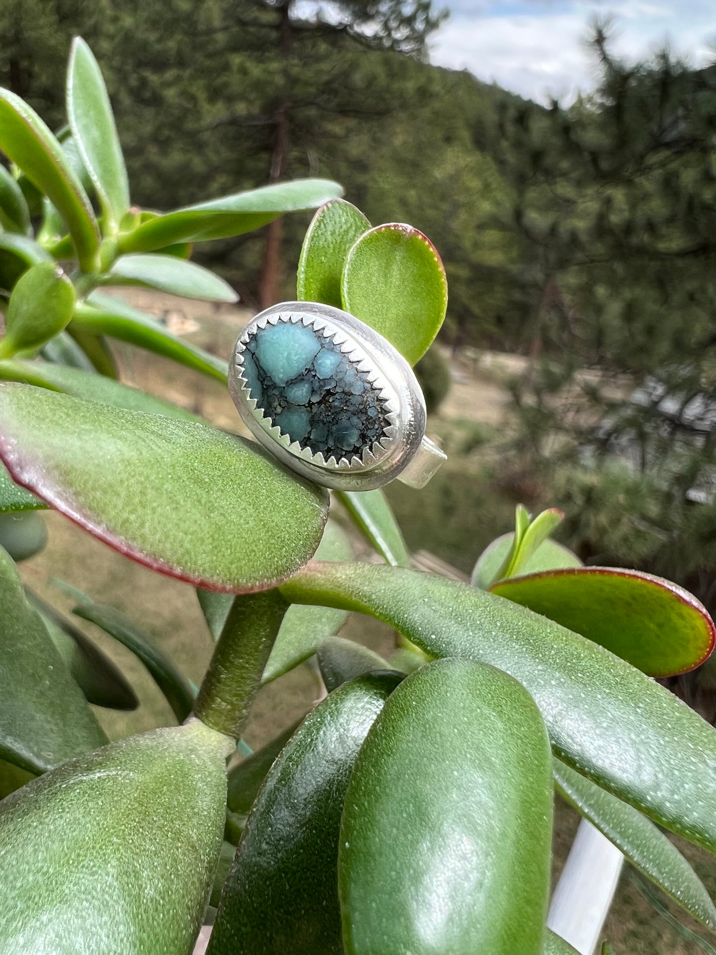 Desert Bloom Variscite Ring - Size 7.5